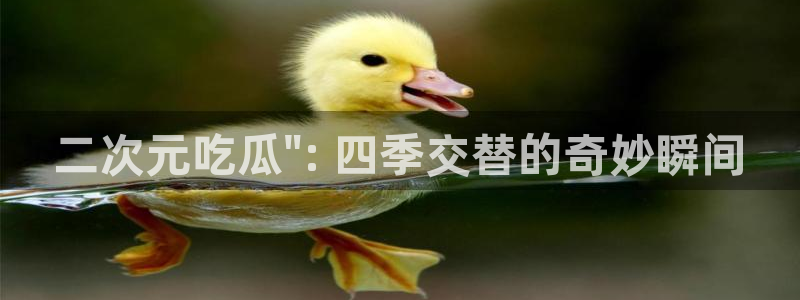 ccggme吃瓜网：二次元吃瓜\