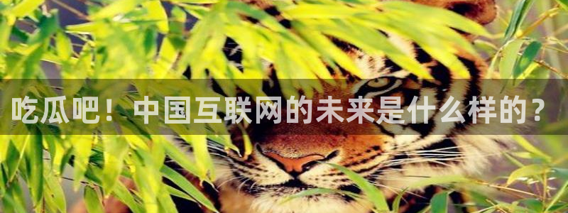 高血糖病人能吃脆瓜吗：吃瓜吧！中国互联网的未来是什么样的？