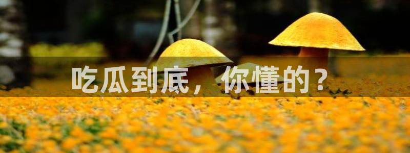 被读心后全员吃瓜吃疯了：吃瓜到底，你懂的？