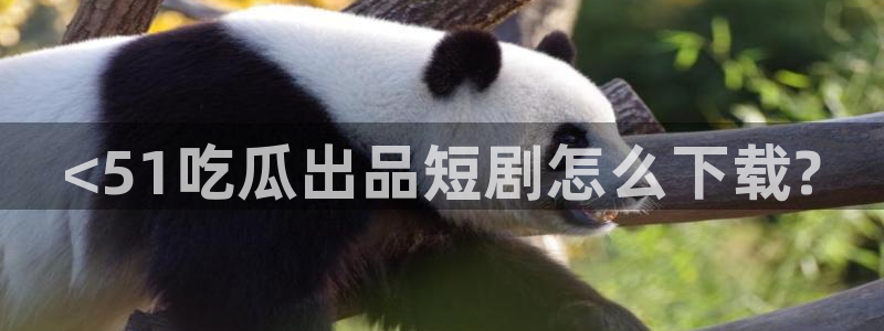 吃瓜电影