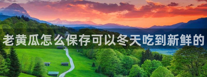 51吃瓜网今日必吃每日大瓜：老黄瓜怎么保存可以冬天吃到新鲜的