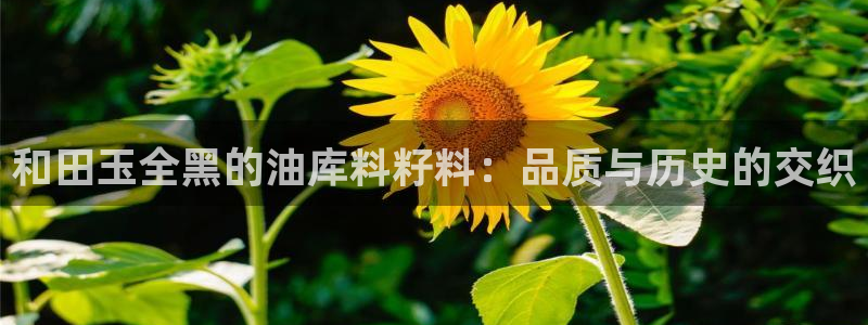 51吃瓜onlyfans网黄