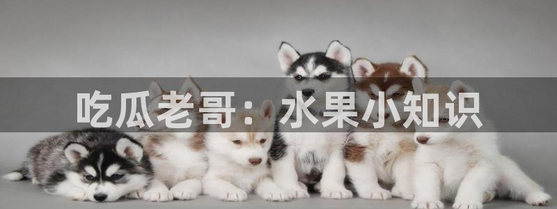 51cg吃瓜网每日吃瓜:吃瓜老哥:水果小知识