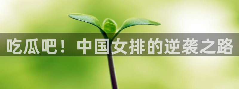 吊瓜树的瓜可以吃吗