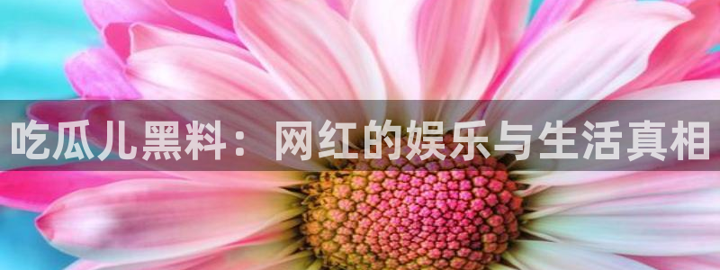 51吃瓜 张津瑜：吃瓜儿黑料：网红的娱乐与生活真相