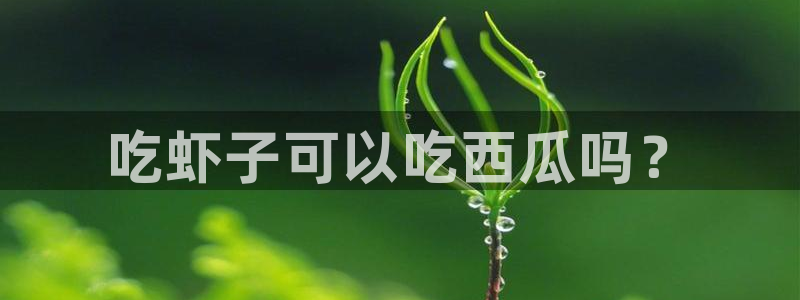 yourport吃瓜网