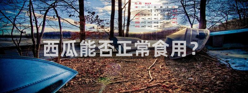 51cg1.ct吃瓜：西瓜能否正常食用？