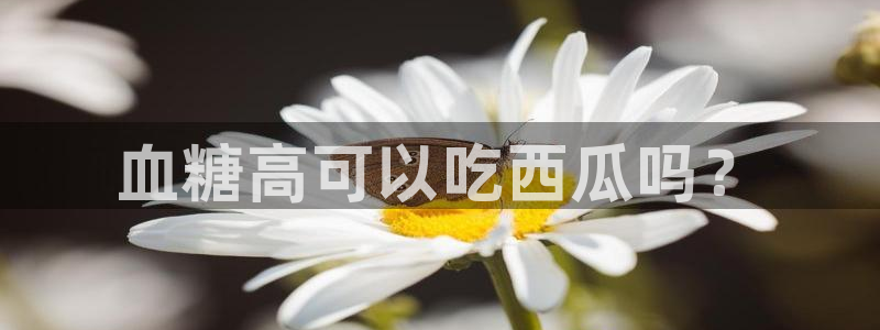 各种网红爆料吃瓜网站