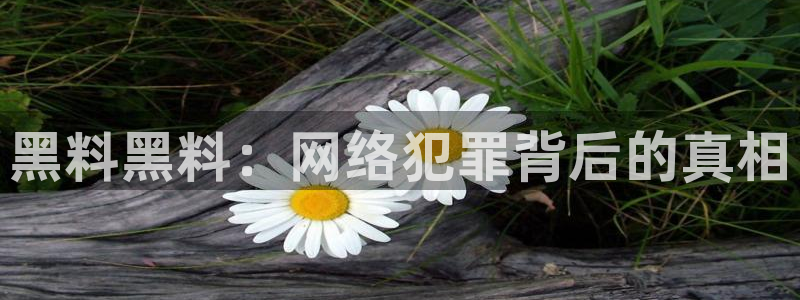 吃瓜群众中的瓜指的是