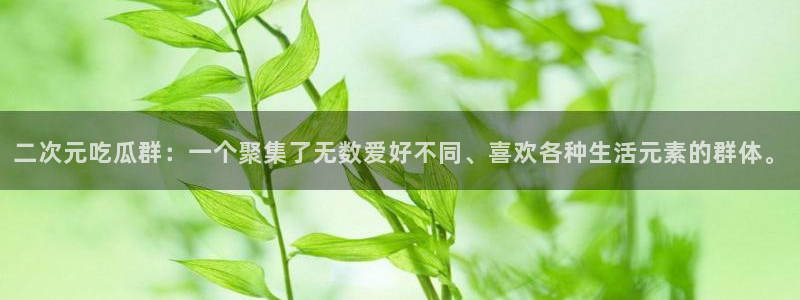 51吃瓜今日吃瓜最新网址：二次元吃瓜群：一个聚集了无数爱好不同、喜欢各种生活元素的群体。