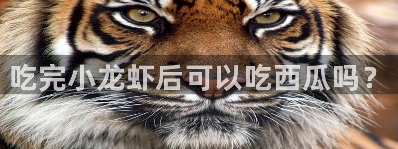 51吃瓜 张津瑜