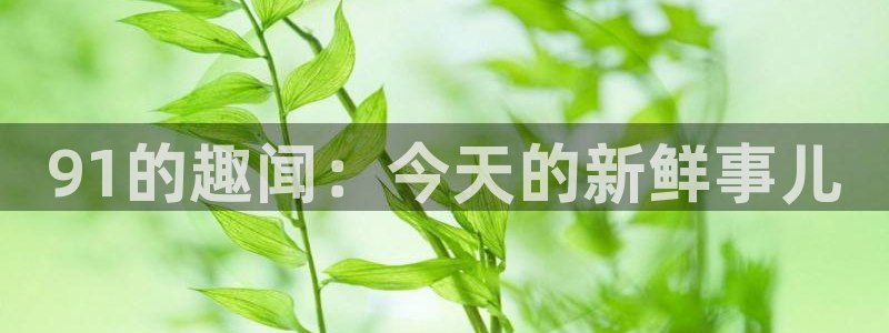 吃瓜什么意思