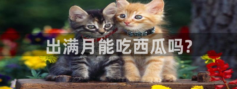 51吃瓜网今日吃瓜热门大瓜：出满月能吃西瓜吗?
