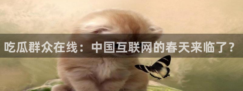 黑料,：吃瓜群众在线：中国互联网的春天来临了？