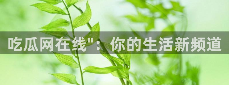 长生武道从九龙夺嫡开始吃瓜：吃瓜网在线\