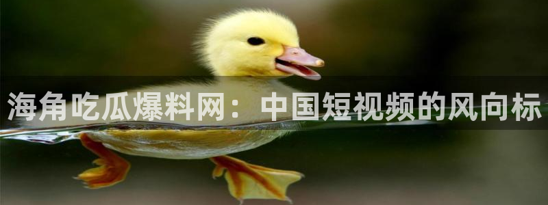 吃瓜网 今日吃瓜 热门大瓜：海角吃瓜爆料网：中国短视频的风向标