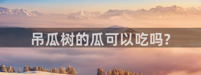 51cg今日吃瓜热门大瓜：吊瓜树的瓜可以吃吗?