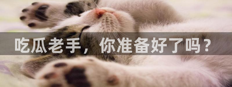 各种网红爆料吃瓜网站：吃瓜老手，你准备好了吗？