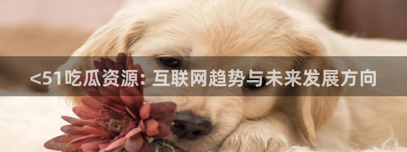 黑料爆料：<51吃瓜资源: 互联网趋势与未来发展方向