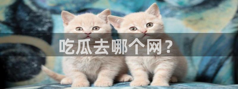 51吃瓜nanataipei：吃瓜去哪个网？