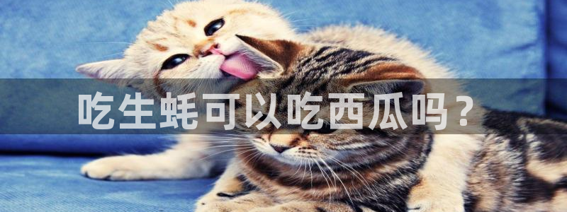 吃瓜网 今日吃瓜 热门大瓜：吃生蚝可以吃西瓜吗？
