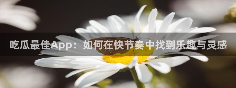 黑料下载：吃瓜最佳App：如何在快节奏中找到乐趣与灵感