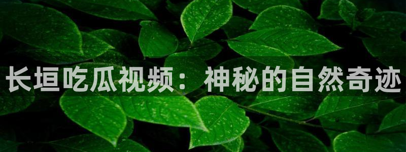 吃瓜吃到自己死讯：长垣吃瓜视频：神秘的自然奇迹