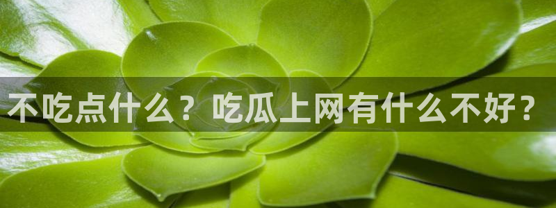 黑料免费:不吃点什么?吃瓜上网有什么不好?