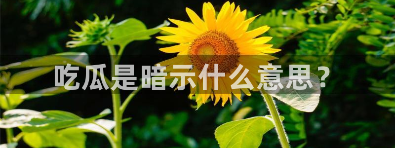 718.sⅹ 吃瓜：吃瓜是暗示什么意思？