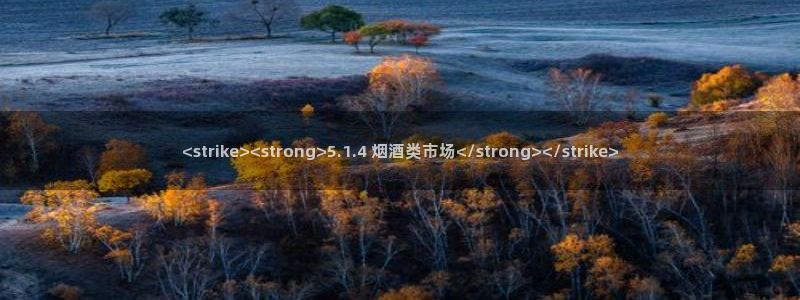 吃瓜吃瓜：<strike><strong>5.1.4 烟酒类市场</strong></strike>
